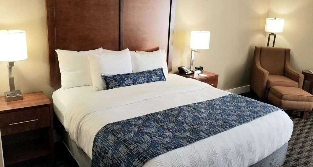 Best Western Plus Greenville I-385 Inn & Suites Room photo